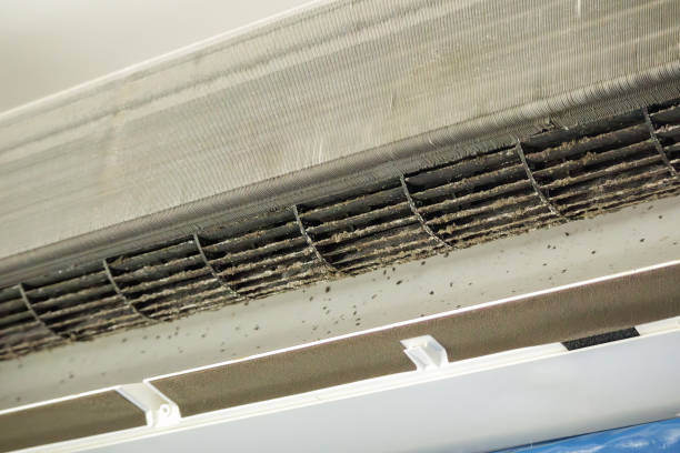 Best Air Duct Cleaning Near Me  in Rolla, MO
